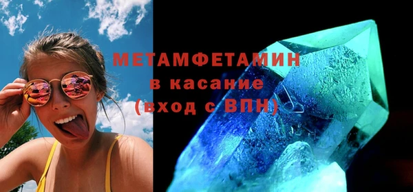 прущие грибы Бронницы